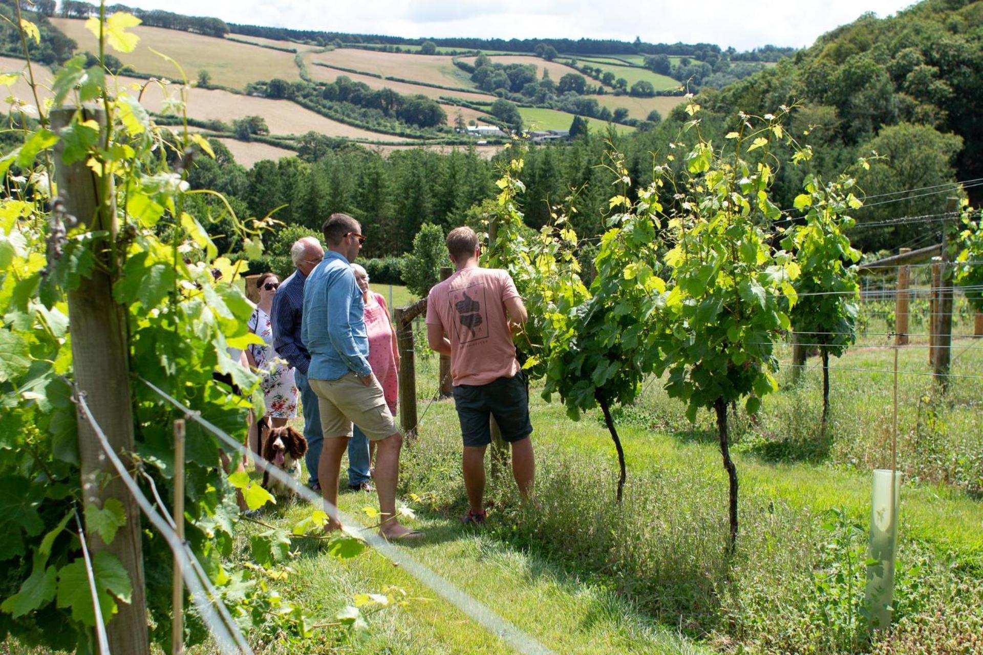Couples Retreat In Beautiful West Devon Countryside Villa Broadwoodwidger Kültér fotó