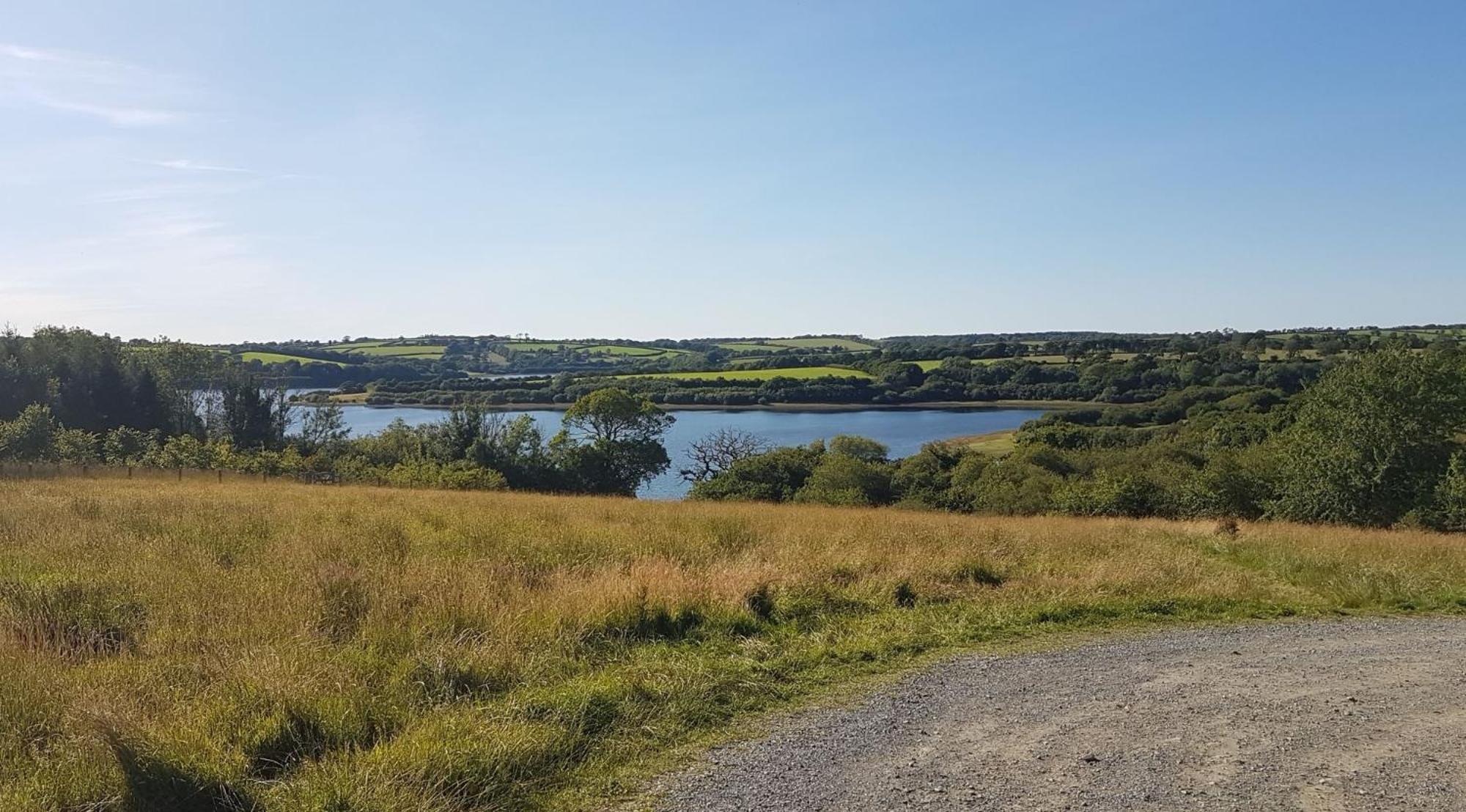 Couples Retreat In Beautiful West Devon Countryside Villa Broadwoodwidger Kültér fotó