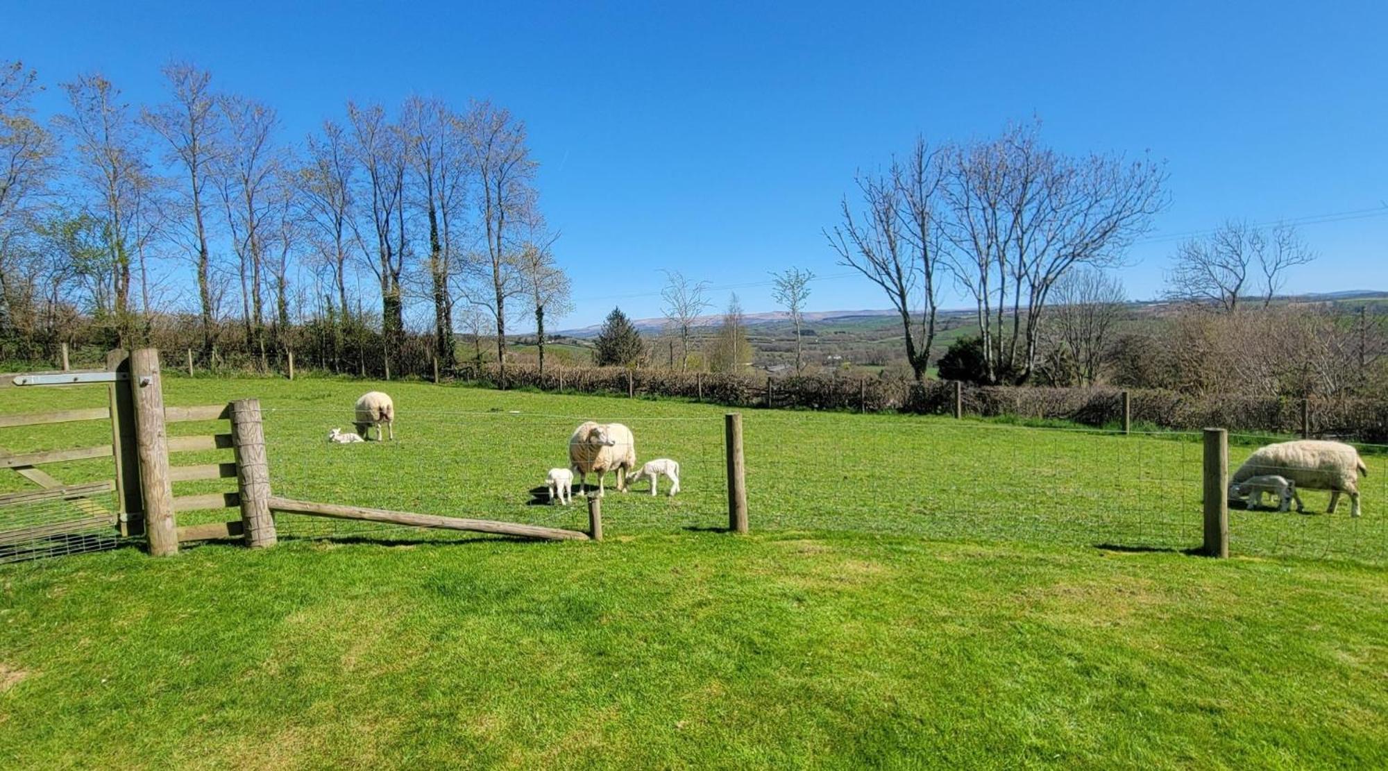 Couples Retreat In Beautiful West Devon Countryside Villa Broadwoodwidger Kültér fotó